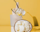 Vanilla Santal + Shea Butter Candle